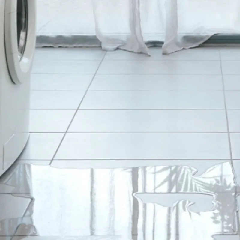 Appliance Leak Cleanup in Mukwonago, WI