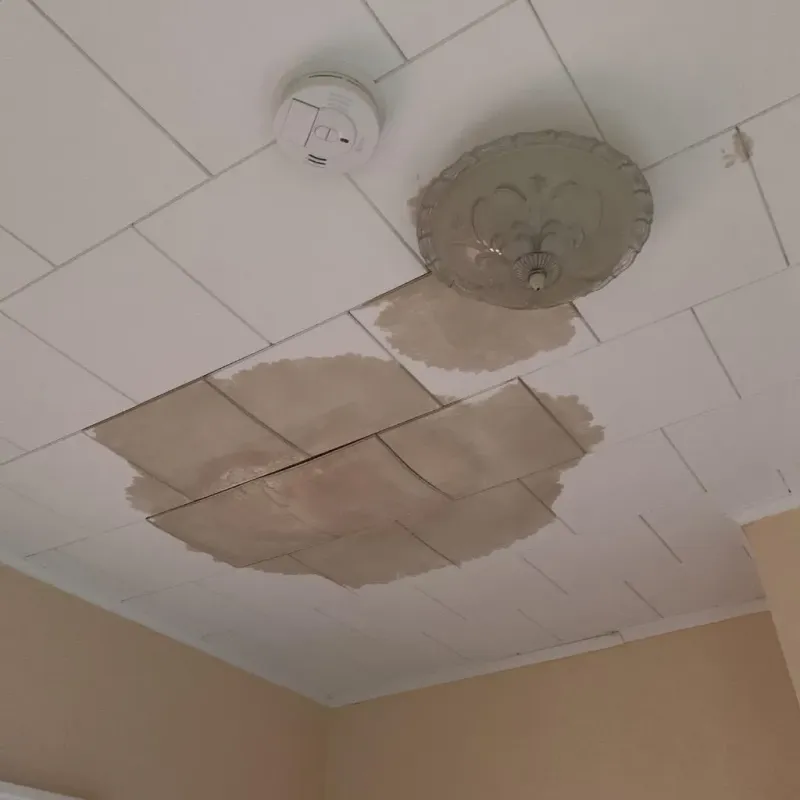 Ceiling Water Damage Repair in Mukwonago, WI