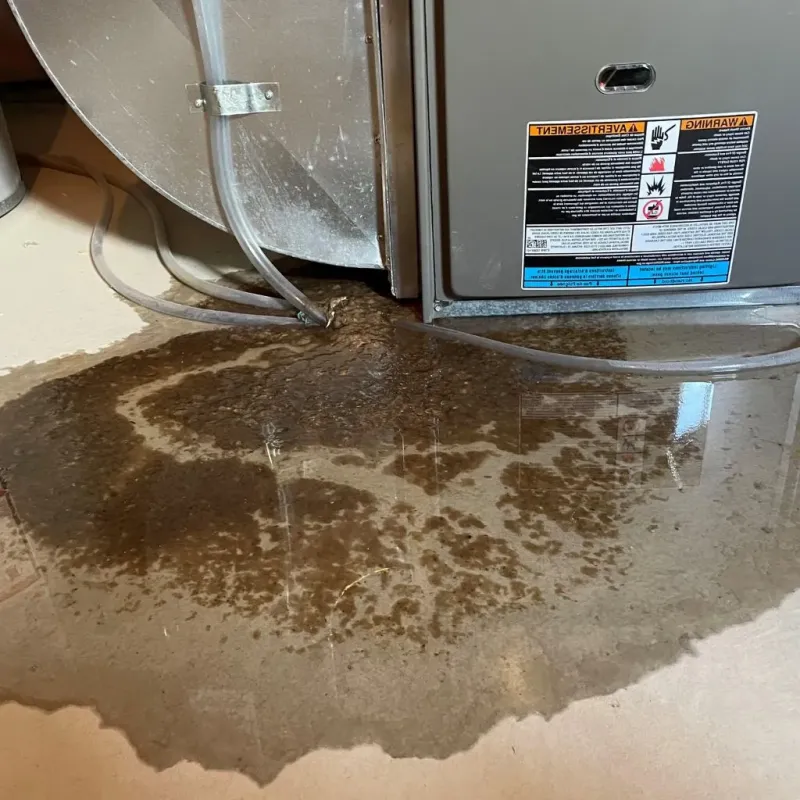 Pipe Burst and Leak Restoration in Mukwonago, WI